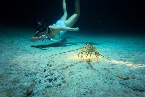 The Ritz-Carlton, Grand Cayman