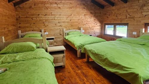Zenith Campsite Apartments
