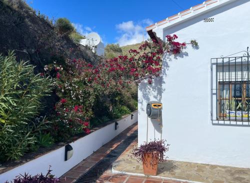 Casa Eve - Beautiful Villa & Heated - Pool to Yourself