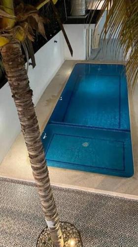 Casa vacacional los olivos in San Blas, Mexico