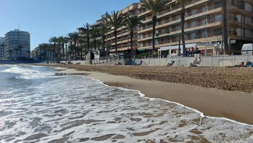 Beach, Alba Apartman Torrevieja in Torrevieja