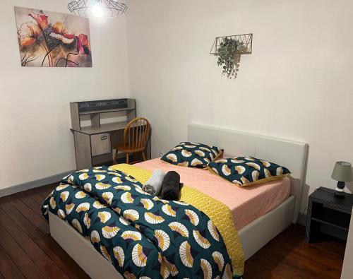 logement entier hyper centre