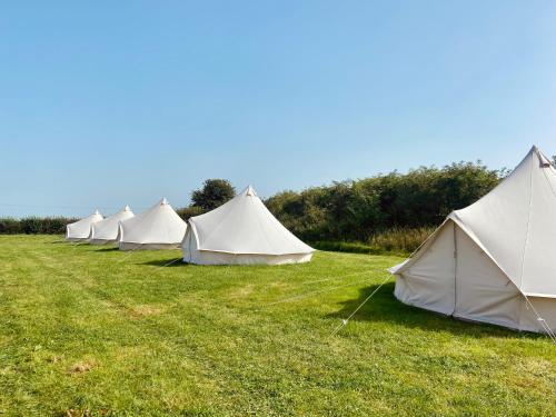 Entire Glamping Site inc Dinner, Bed & Breakfast for 10