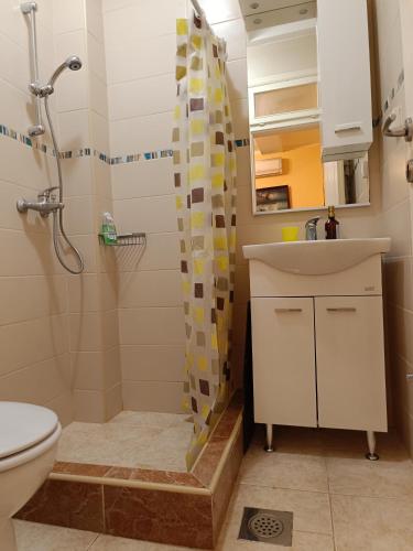 Apartmani TOPLA Zlokovic