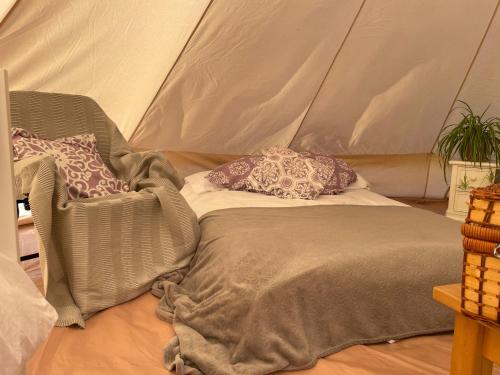 Trevena Cross Glamping