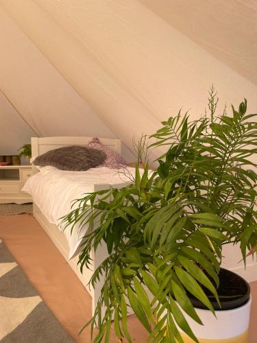 Trevena Cross Glamping