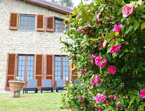 Villa Camelia Tuscany - Accommodation - Pescia