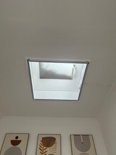 Sonnenblume Residenz in Schwetzingen