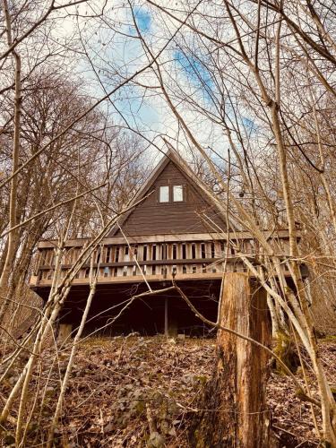 The Forest Cabin Durbuy