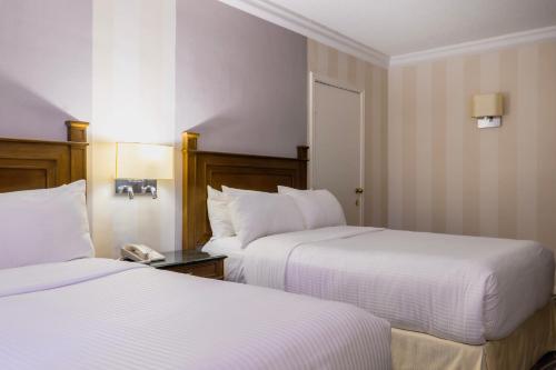 Superior Double Room image 2