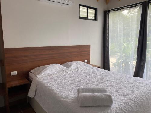 Villa Sueños del Arenal, Fortuna (foto 4)