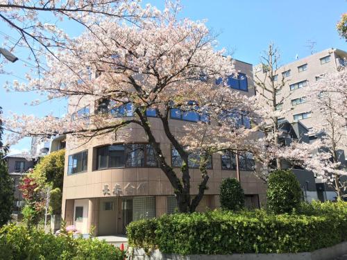 ゲストハウス昴, Tokio