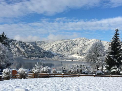 Apartmenthaus Der Johanneshof - tolle Lage nah am See