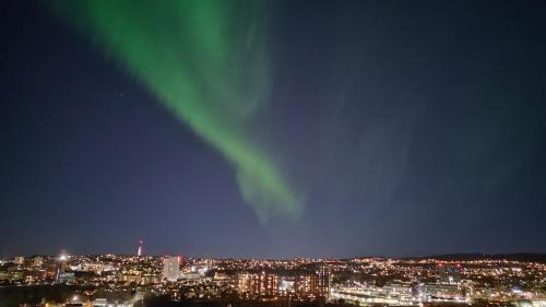 Adorable 1-bedroom apartment with a fantastic view - Free Parking - Apartment - Trondheim