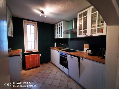 Ferienhaus Rennsteig-Wander-Mountainbike und Langlaufparadies in Sachsenbrunn