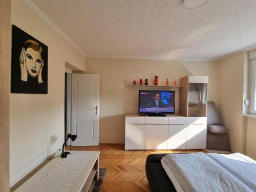 المرافق, Apartman Ćurčić (Apartman Curcic) in Vrdnik