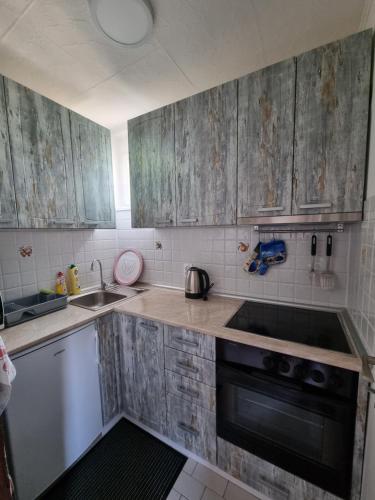 المرافق, Apartman Ćurčić (Apartman Curcic) in Vrdnik