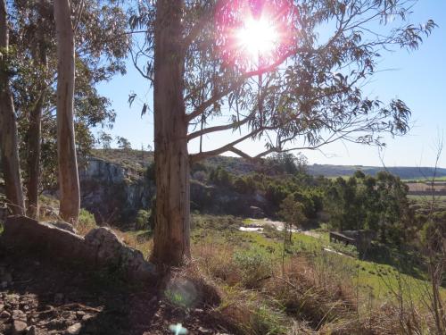 Cabanas Calma Chicha in Sierra De Los Padres