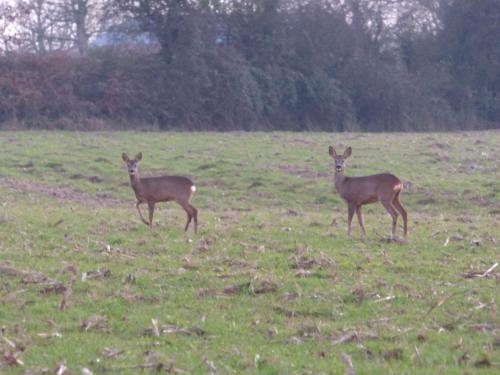 Bienvenu à la campagne (Bienvenu a la campagne) in 永河畔拉羅什