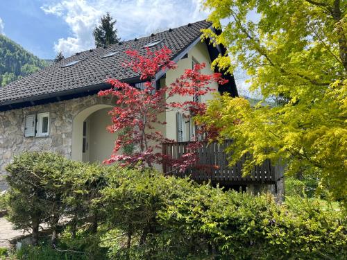 Vista exterior, Creek House Bohinj in Bohinjsko Jezero