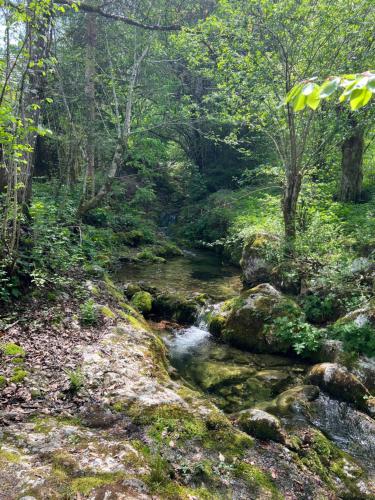 Jardín, Creek House Bohinj in Bohinjsko Jezero