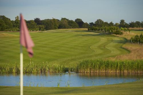 Luton Hoo Hotel Golf and Spa - image 11