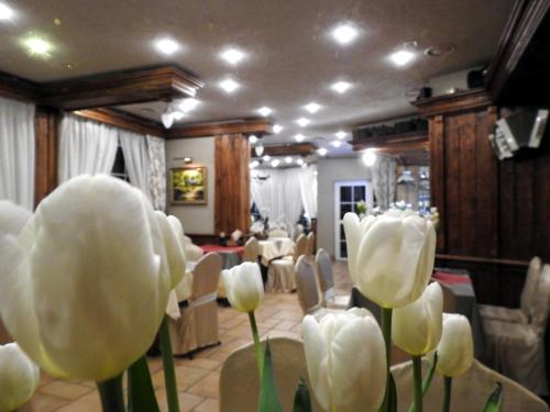 Noclegi I Restauracja Zodiak in Skidzin