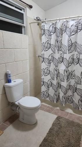 One-Bedroom Apartment image 3