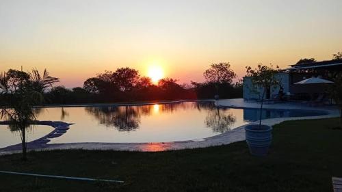 Swimming pool, Tree Tops Game Resort in Mpolonjeni