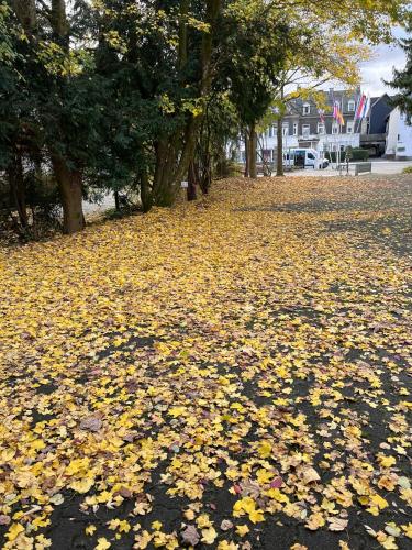 Hotel Wittgensteiner Hof - image 5