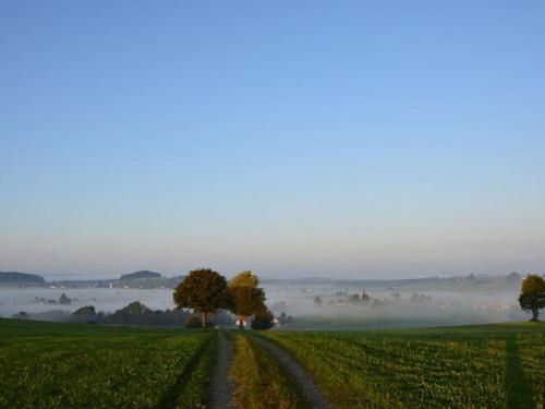 Ferienhof Schönmetzler