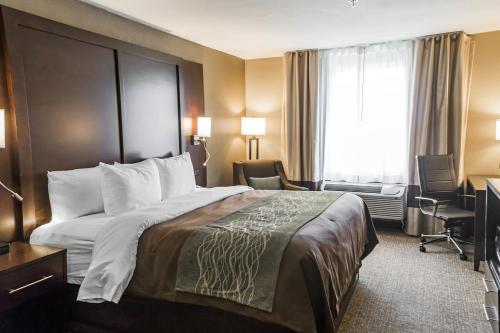 Comfort Inn & Suites Pharr - McAllen in Pharr (TX)