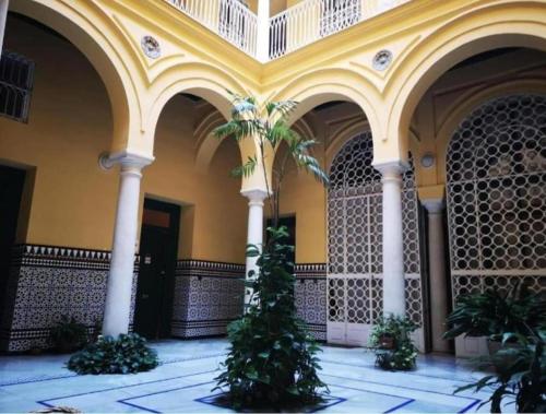 Conteros Centro Apartment 2