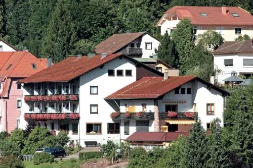 Aparthotel Schwarzwald Panorama in Bad Wildbad, Deutschland
