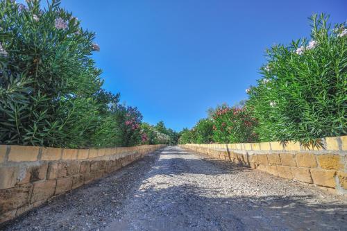 House Calafato e Testasecca