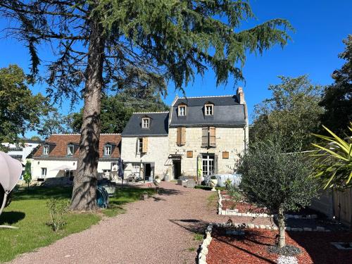 حديقة, Manoir Drissia - Tours Centre, France in سان افرتين
