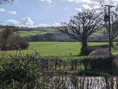 Sarn Y Glyn in Mid Wales Cambrian Mountains near Llanidloes Powys