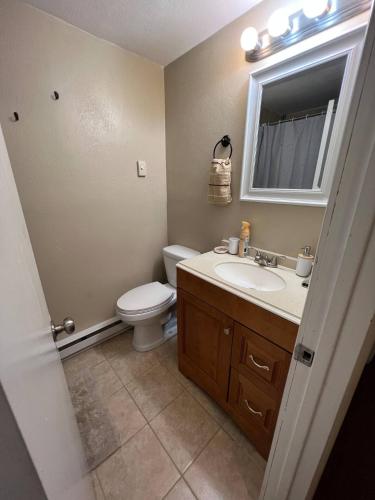 Pet Friendly Private Townhouse With Washerdryer in Ligonier, USA