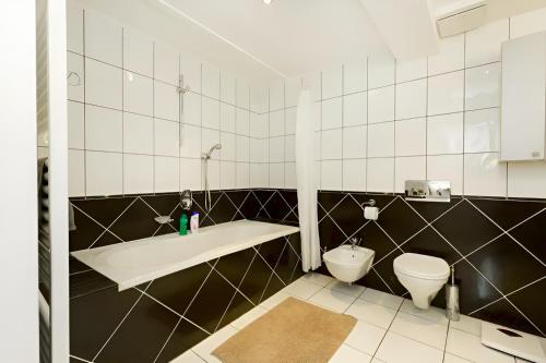Damati Kft Liszt Ferenc ter Inner City Flat, Budapešť (fotografie 9)