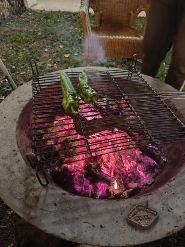 Uruñuela, un jardín entre viñedos en La Rioja