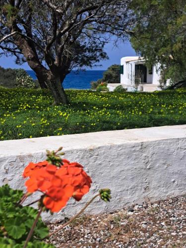 Charming Cottage on the sea turtle beach