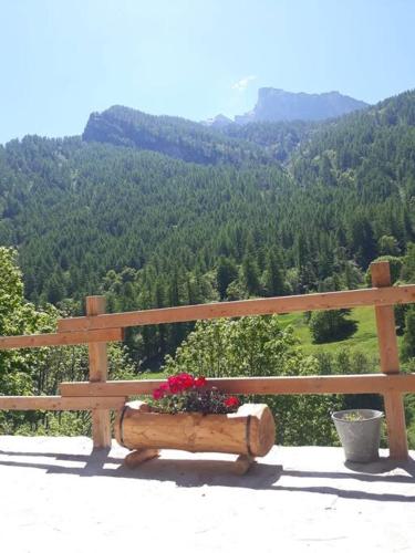 L'Estèla (L'Estela) in Bellino