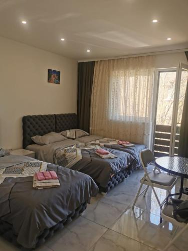 Aleksandar 1 - 50 m od bazena in Ribare