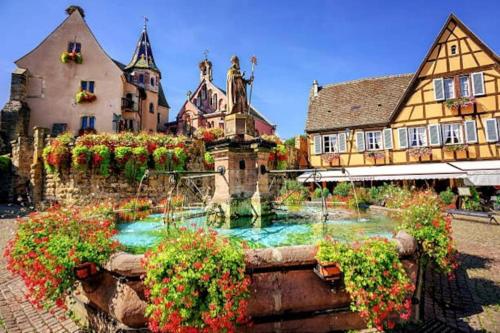 BREDALA**** Gîte maison Alsacienne avec Jardin