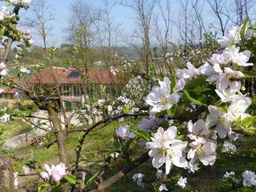 B&B Il vecchio pero in Castelnuovo Don Bosco
