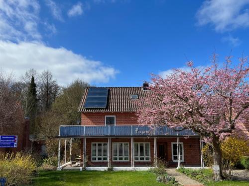 Ferienwohnung "Pergola" Hohwacht Ostsee