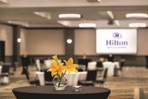 Hilton Knoxville Airport