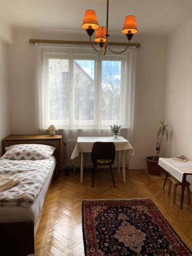 Spacious apartment - free parking!, Praha (fotografie 8)