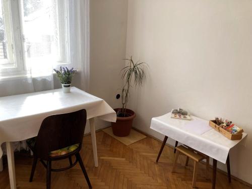 Spacious apartment - free parking!, Praha (fotografie 9)