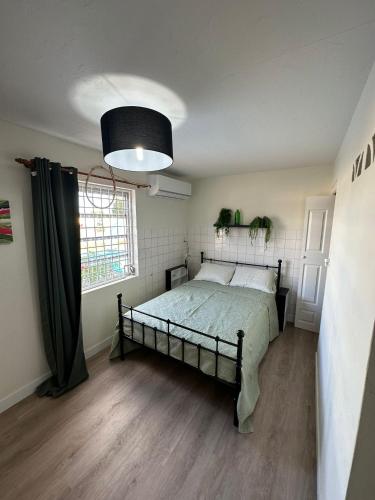 One-Bedroom Apartment image 10
